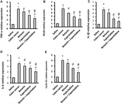 Chemotherapeutic potential of betanin/capecitabine combination targeting colon cancer: experimental and bioinformatic studies exploring NFκB and cyclin D1 interplay